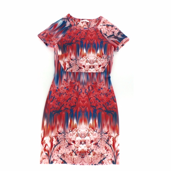 Zara Printed Short Sleeve Stretch Dress - Picture 2 of 5